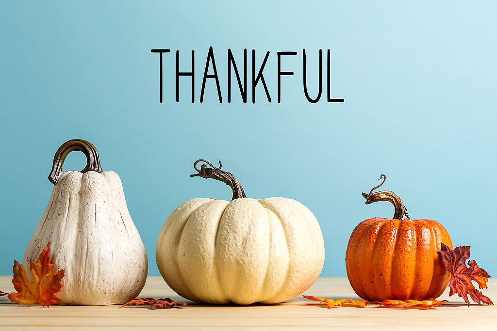 A Thanksgiving from Us to You